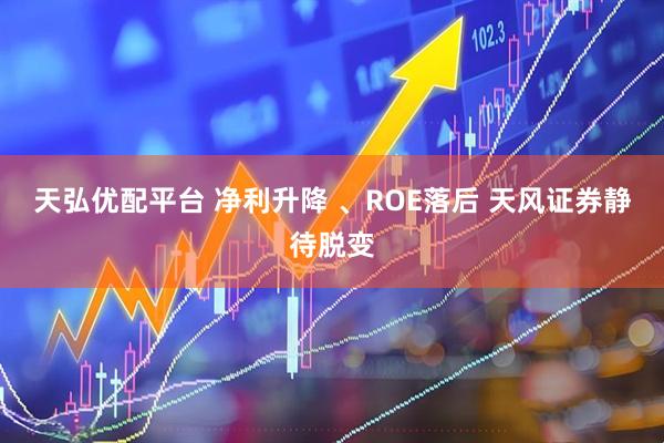 天弘优配平台 净利升降 、ROE落后 天风证券静待脱变