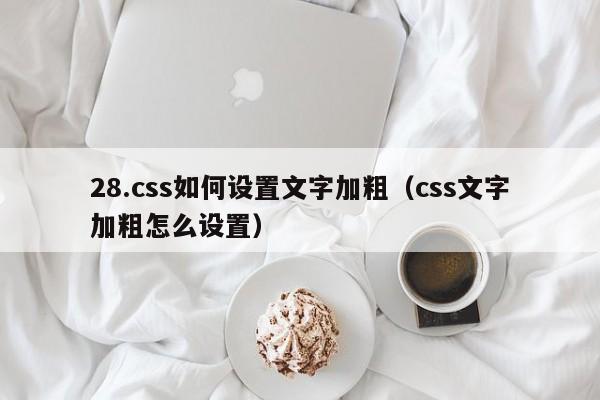 28.css如何设置文字加粗（css文字加粗怎么设置）